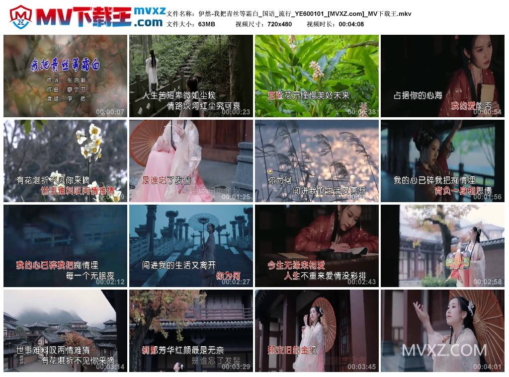 伊然-我把青丝等霜白_国语_流行_YE600101